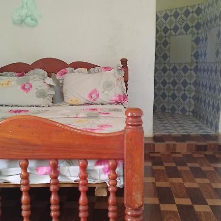 Moheli Vanilla Lodge Nioumachoua エクステリア 写真
