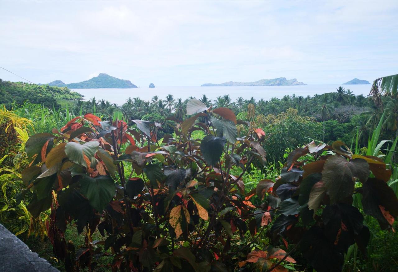 Moheli Vanilla Lodge Nioumachoua エクステリア 写真